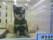 超賢そう!!