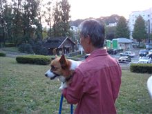 大井の公園　＆　代々木公園