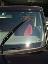 洗車をしていたら…