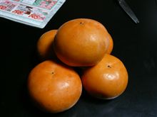 本年初物