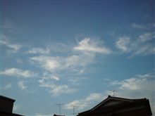 今日も良い天気になりそうだ