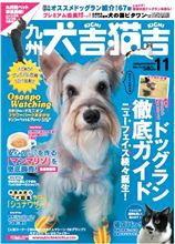 よろしければ・・・