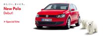 Polo 発売間近
