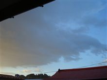 １０月２１日　またしても雨上がりな水曜日の朝、おはです～♪