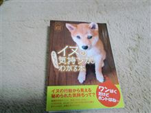 ふむふむ