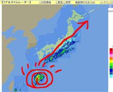 奇跡のカーブ