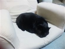そこは僕の席なんですけど・・・。
