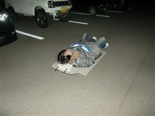 あっちの人たちは見えたのかしら