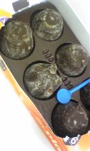 流星群は見えませんでしたが