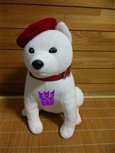 なんか届いた・・・・