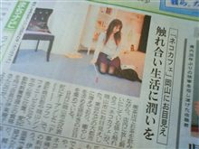 岡山にネコカフェオープン！