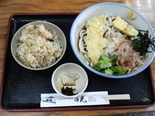 天おろしセット
