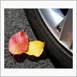 霜降の紅葉ドライブ