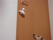 てるてる坊主様に･･･！