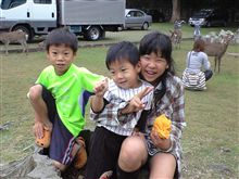 奈良公園