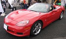 稲妻フェスティバル2009 稲妻フェスティバル2009