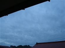 １０月２６日　ネムダルな週明け月曜日、おはです～♪