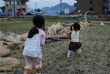 農業体験・・・？