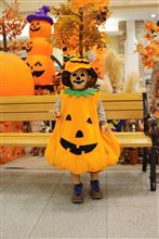 Ｈａｌｌｏｗｅｅｎ