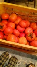 この季節が到来~ この季節が到来~
