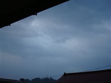 １０月２８日　またしても雨上がりの朝、おはです～♪