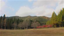 紅葉3