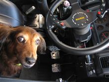 ジムニーを運転するのか!?お前が・・(^O^)／