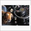 ジムニーを運転するのか!?お ...