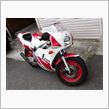 YSR80