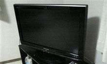 見てくださいこのボディ～～～～～