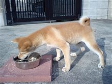 長ぁ～くして…