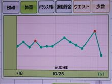～ 重量化レポートWii Fit plus Part2(爆) ～