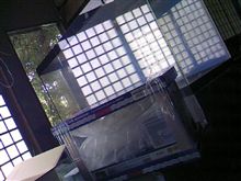 ( &#180;艸｀)ﾆｮホ