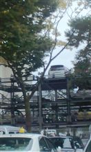 中空に浮いた(ﾟДﾟ)ェ
