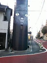 ネコ派？タチ派？
