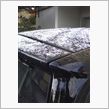 スマート、初冠雪。