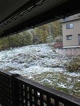 おはようございます
