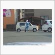 招かれざる・・・