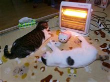 寒いんです。