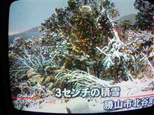 初雪
