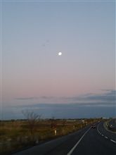 Morning Moon