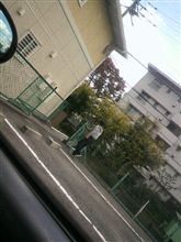 スポーツの秋ということで