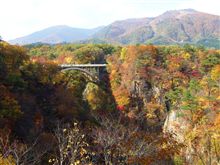 鳴子峡・東法田の大赤松！