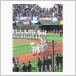 少年野球　都大会開催