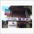 ベビーフェイス　ｄｉ　Ｂａｌｉ