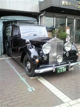 大先輩が止まってました。