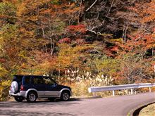 久しぶりに・・何時もの林道へ 久しぶりに・・何時もの林道へ