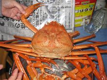 ズワイガニを食う！