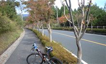 紅葉を見に