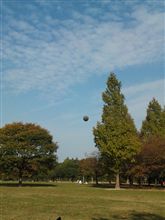 次男坊と一緒に
